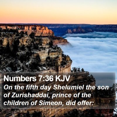 Numbers 7:36 KJV Bible Verse Image