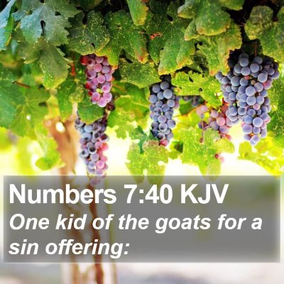 Numbers 7:40 KJV Bible Verse Image