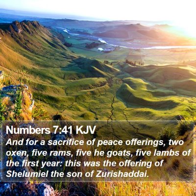 Numbers 7:41 KJV Bible Verse Image