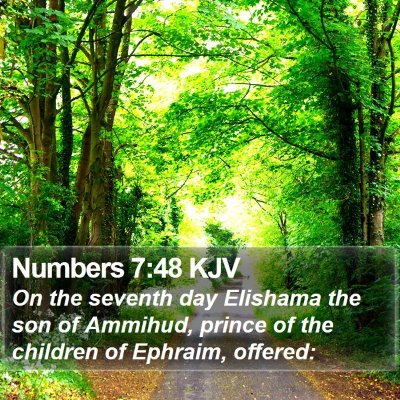 Numbers 7:48 KJV Bible Verse Image