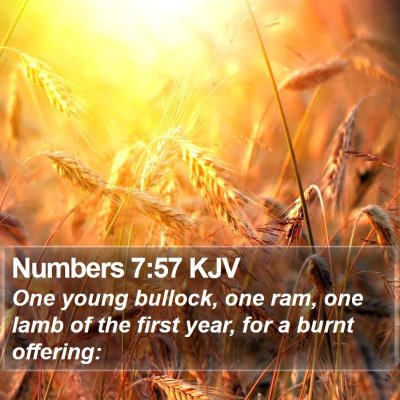 Numbers 7:57 KJV Bible Verse Image