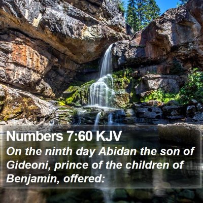 Numbers 7:60 KJV Bible Verse Image