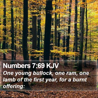 Numbers 7:69 KJV Bible Verse Image