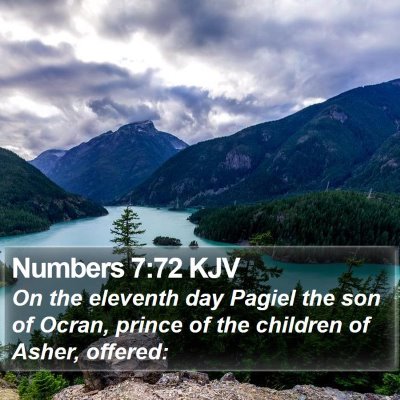 Numbers 7:72 KJV Bible Verse Image
