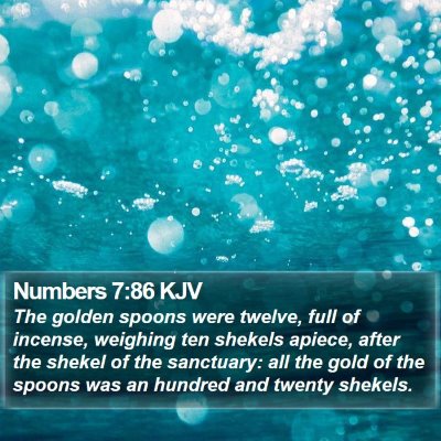 Numbers 7:86 KJV Bible Verse Image