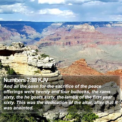 Numbers 7:88 KJV Bible Verse Image