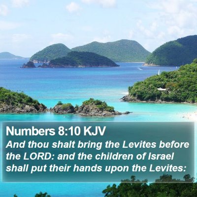 Numbers 8:10 KJV Bible Verse Image