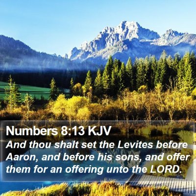 Numbers 8:13 KJV Bible Verse Image