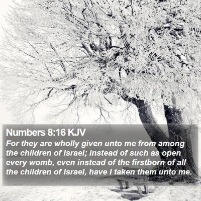 Numbers 8:16 KJV Bible Verse Image