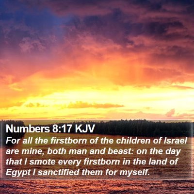 Numbers 8:17 KJV Bible Verse Image
