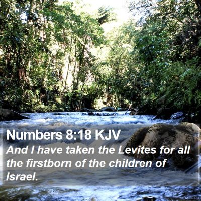 Numbers 8:18 KJV Bible Verse Image