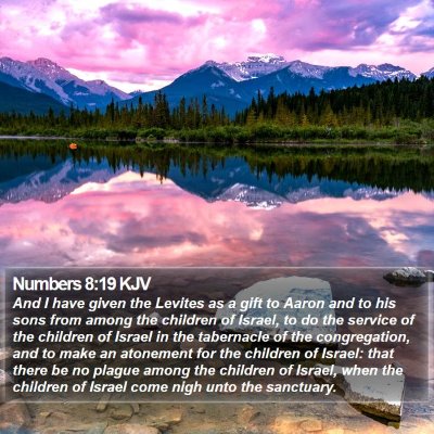 Numbers 8:19 KJV Bible Verse Image