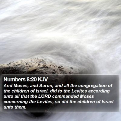 Numbers 8:20 KJV Bible Verse Image