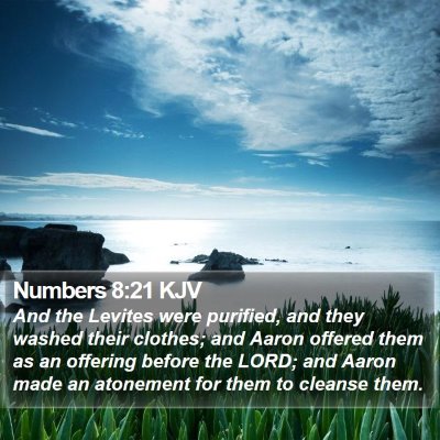 Numbers 8:21 KJV Bible Verse Image