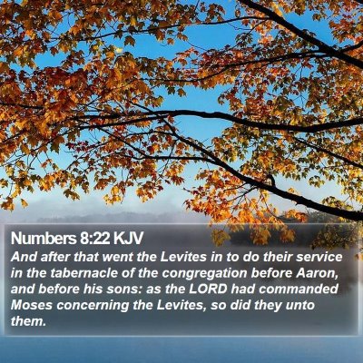 Numbers 8:22 KJV Bible Verse Image