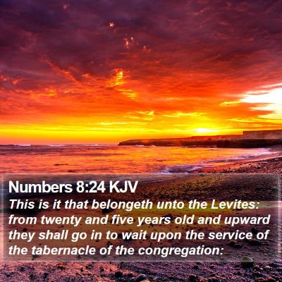 Numbers 8:24 KJV Bible Verse Image