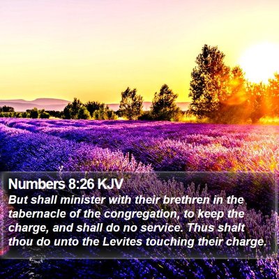 Numbers 8:26 KJV Bible Verse Image