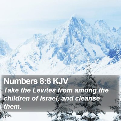 Numbers 8:6 KJV Bible Verse Image