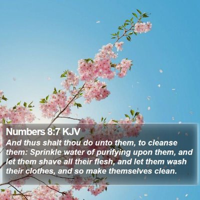Numbers 8:7 KJV Bible Verse Image