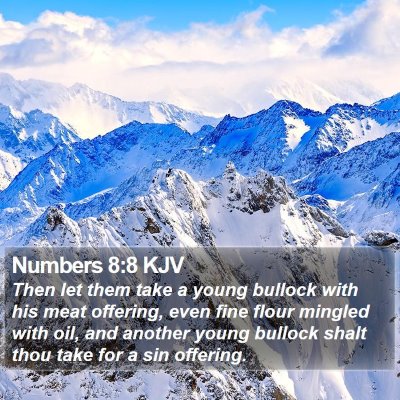 Numbers 8:8 KJV Bible Verse Image