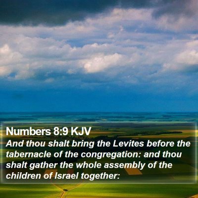 Numbers 8:9 KJV Bible Verse Image