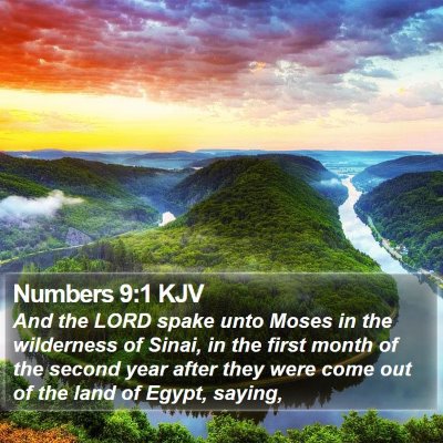 Numbers 9:1 KJV Bible Verse Image