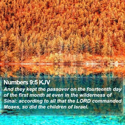 Numbers 9:5 KJV Bible Verse Image