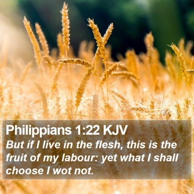 Philippians 1:22 KJV Bible Verse Image