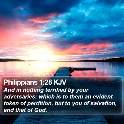 Philippians 1:28 KJV Bible Verse Image