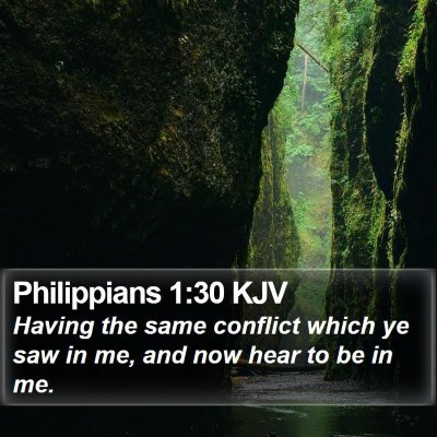 Philippians 1:30 KJV Bible Verse Image