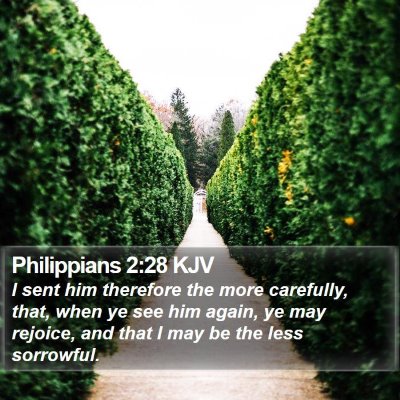 Philippians 2:28 KJV Bible Verse Image