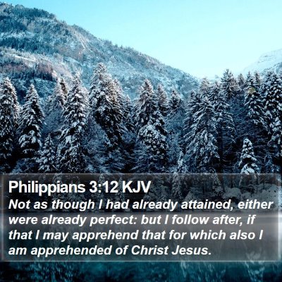 Philippians 3:12 KJV Bible Verse Image