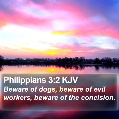 Philippians 3:2 KJV Bible Verse Image