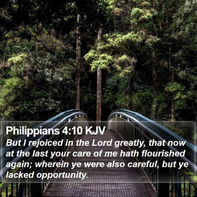 Philippians 4:10 KJV Bible Verse Image