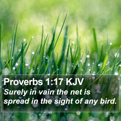 Proverbs 1:17 KJV Bible Verse Image