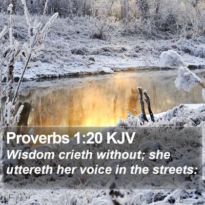 Proverbs 1:20 KJV Bible Verse Image