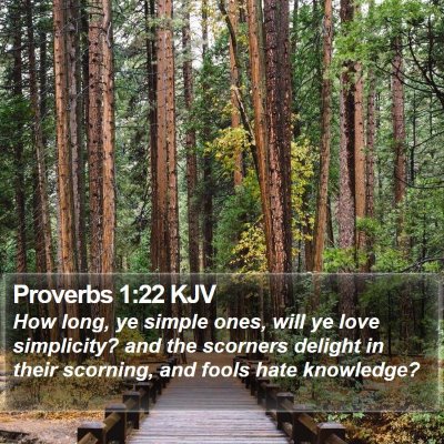 Proverbs 1:22 KJV Bible Verse Image