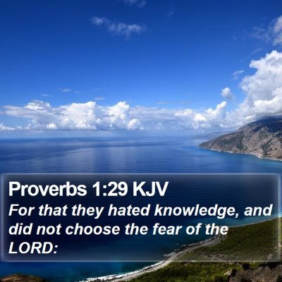Proverbs 1:29 KJV Bible Verse Image
