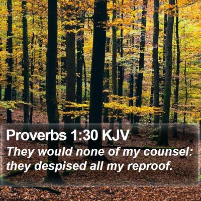 Proverbs 1:30 KJV Bible Verse Image