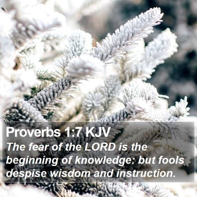 Proverbs 1:7 KJV Bible Verse Image
