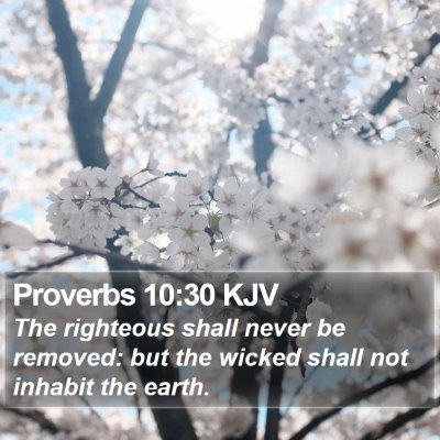 Proverbs 10:30 KJV Bible Verse Image