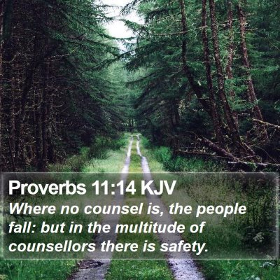 Proverbs 11:14 KJV Bible Verse Image