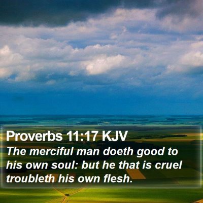 Proverbs 11:17 KJV Bible Verse Image