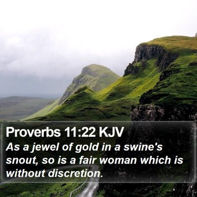 Proverbs 11:22 KJV Bible Verse Image