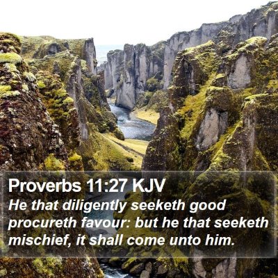 Proverbs 11:27 KJV Bible Verse Image