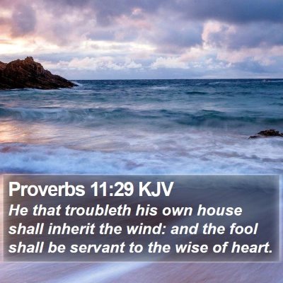 Proverbs 11:29 KJV Bible Verse Image