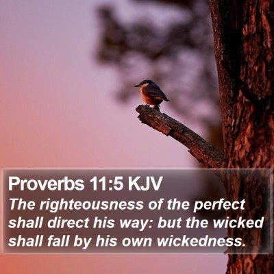 Proverbs 11:5 KJV Bible Verse Image