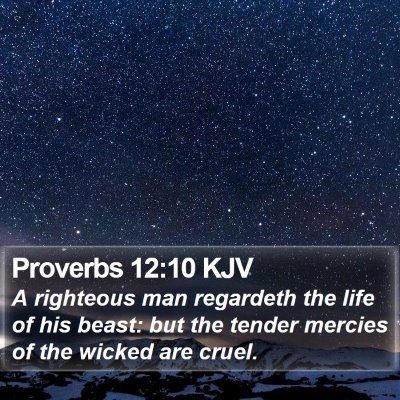 Proverbs 12:10 KJV Bible Verse Image