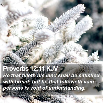 Proverbs 12:11 KJV Bible Verse Image