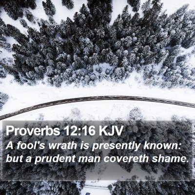 Proverbs 12:16 KJV Bible Verse Image
